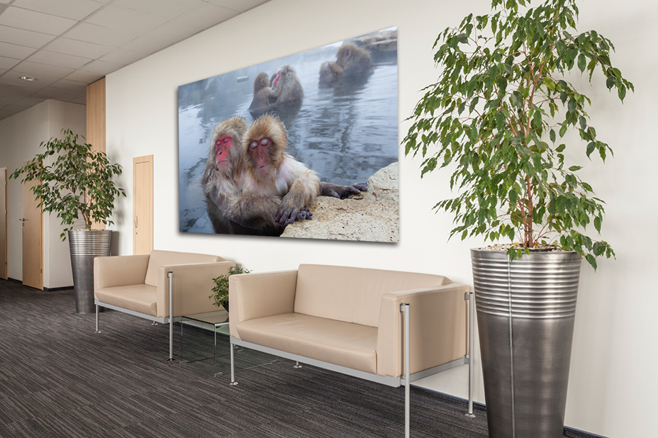 Hotel lobby art. Experience the harmonious blend of coastal serenity and Japanese snow monkey elegance in interior design with our curated prints. Transform your space into a tranquil haven, where every detail weaves a story of timeless allure and natural beauty.