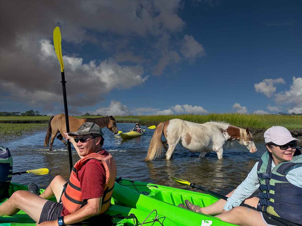 Assateague kayak tour customers embrace the serenity of the kayak tour, paddling alongside majestic wild horses.