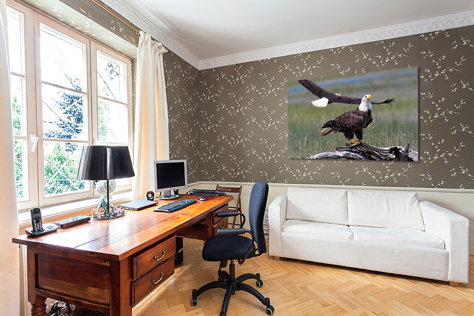 Bald Eagles Art Print captured along Chincoteague Island, Virginia by Mark Coulbourne. Experience the elegance of nature-infused interior design with our captivating prints. Elevate your space with the beauty of the outdoors, blending tranquility and style for a refined home atmosphere.