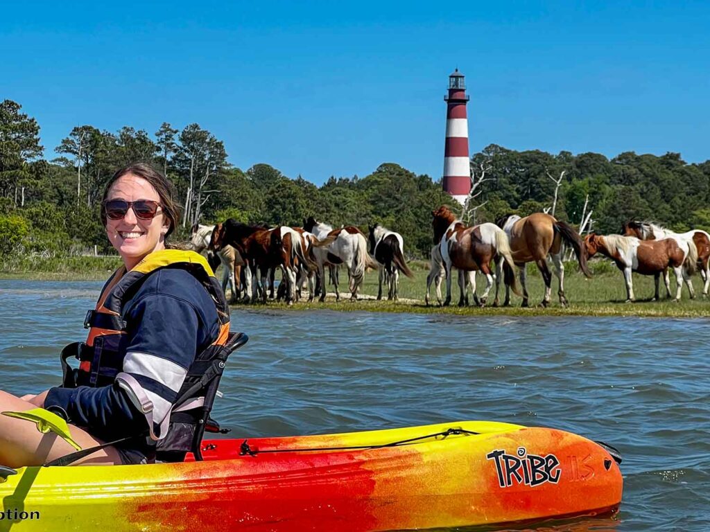 Kayak tour at Assateague, Virginia with Assateague wild ponies and Assateague lighthouse.