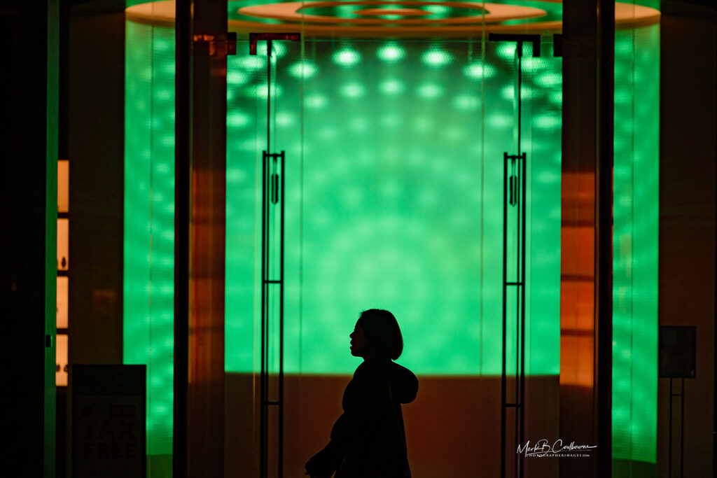 Person in Ginza Japan