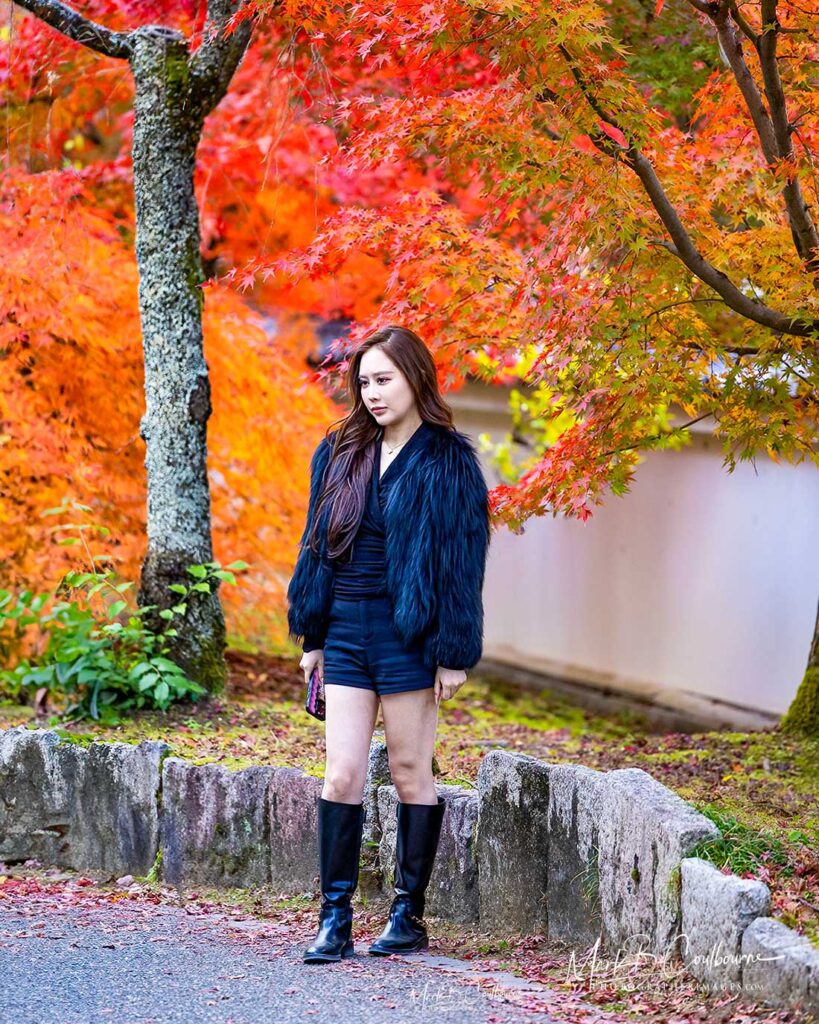 Japanese Lady in Kyoto with Fall Color