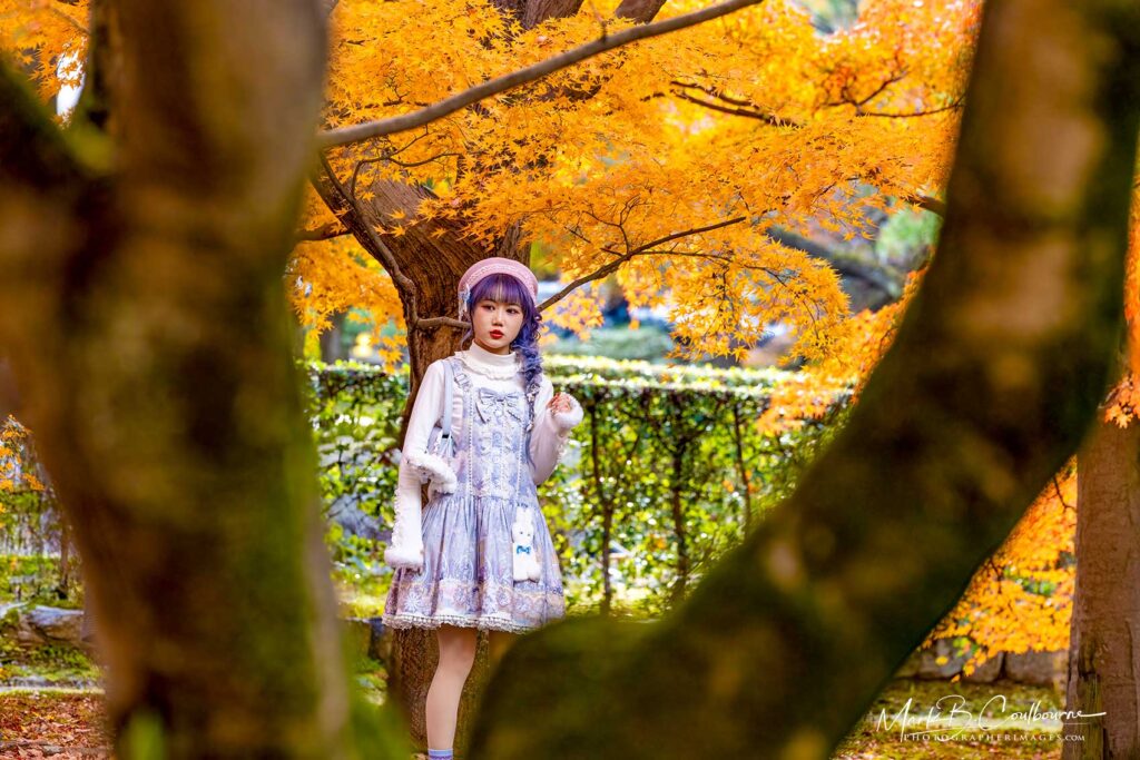 Kyoto Japan Landscape with a Japanese Portrait