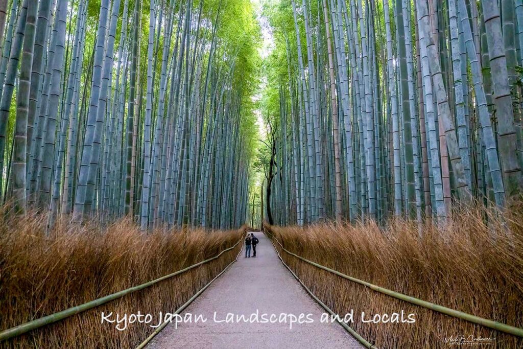 Kyoto, Japan Landscapes and portraits of local people.