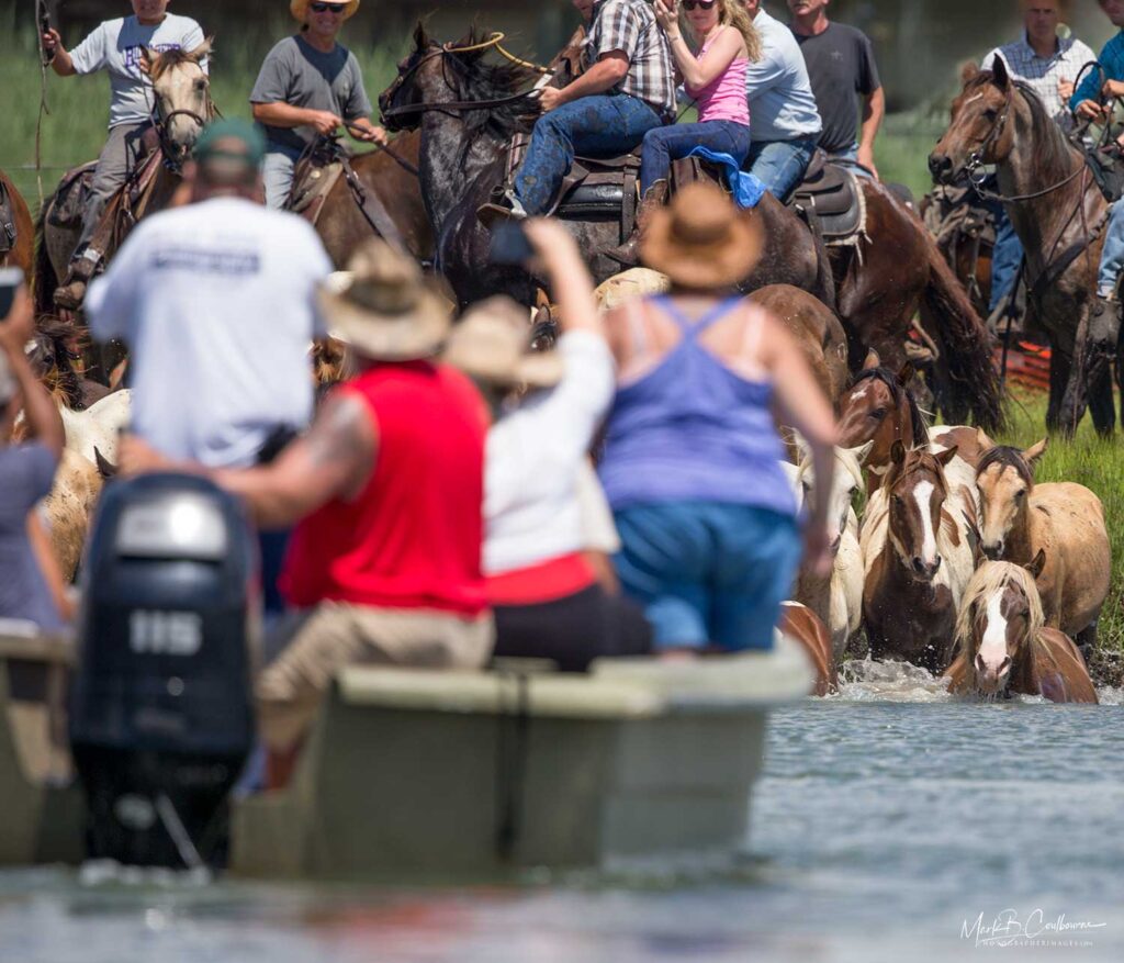 Ponies Swim Vacation Information
